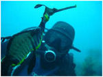 diving01.jpg